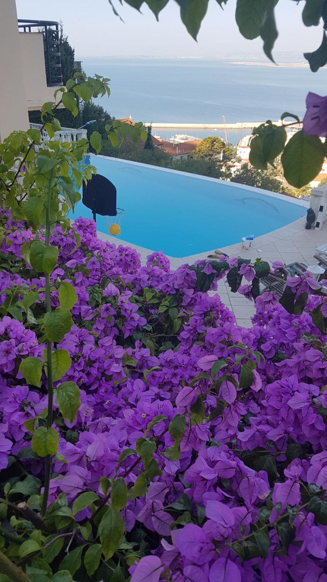 Villa Roc Maria Lucia Nizza